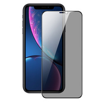 Загартоване скло Dux Ducis Anti Spy для iPhone XR / 11